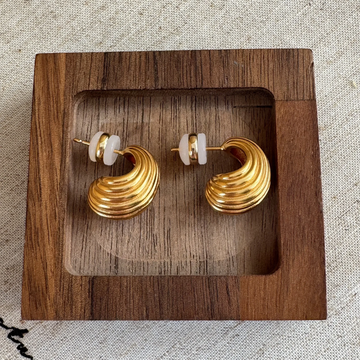 Shell Conch Curve Texture Earrings