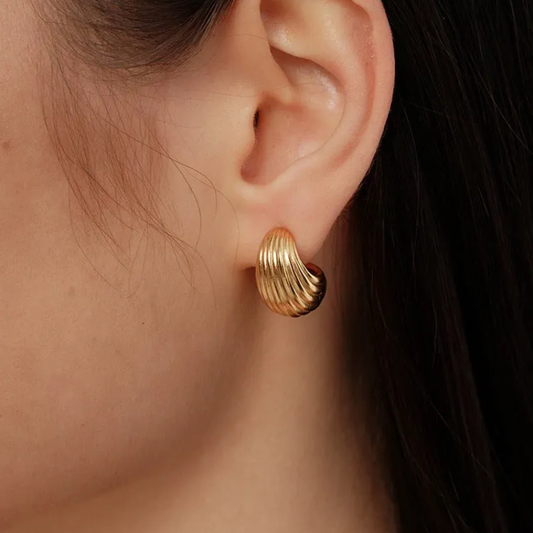 Shell Conch Curve Texture Earrings